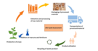 Circular bioeconomy in carbon footprint components of nonthermal processing technologies towards sustainable food system: A review