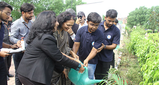 LPU Tree Plantation for Sustainability