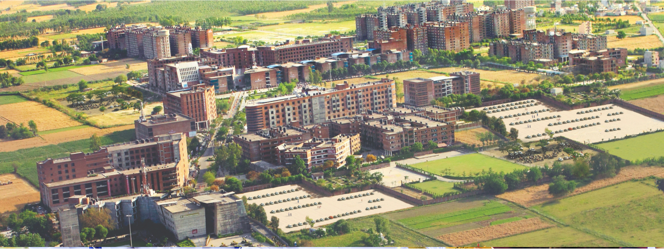 A City in a Campus
